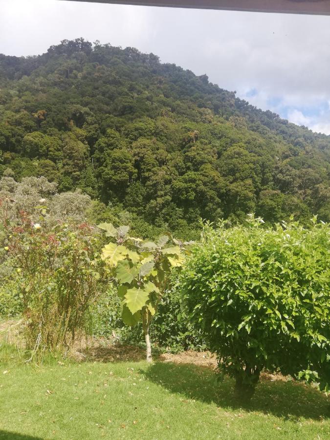 Casa #6 Cabinas San Gerardo Villa ซานโฮเซ ภายนอก รูปภาพ